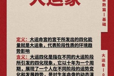 紫薇斗数的四化大运是什么