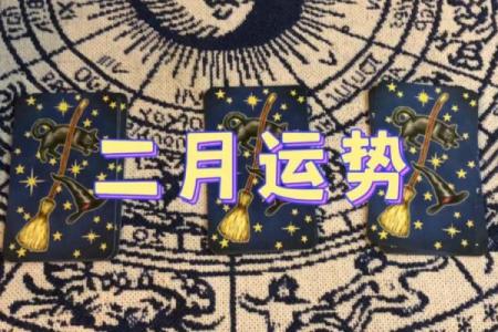 塔罗测试：二月财运如何？