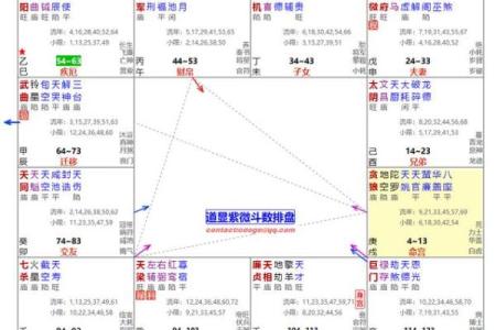 唐艺尹老师：紫薇斗数主星解释