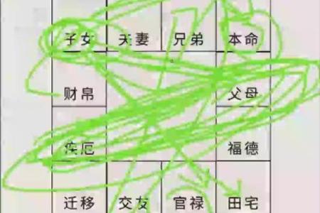 紫微斗数看学历哪个宫,不同星宿在官禄宫影响