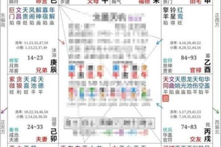 紫薇斗数最主要看什么