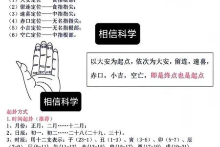 算命中指的官是什么