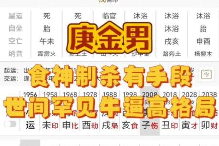 食神多的八字
