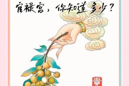 紫薇斗数的官禄宫