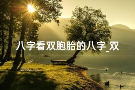 为什么双胞胎生辰八字相同，命运为什么不同？