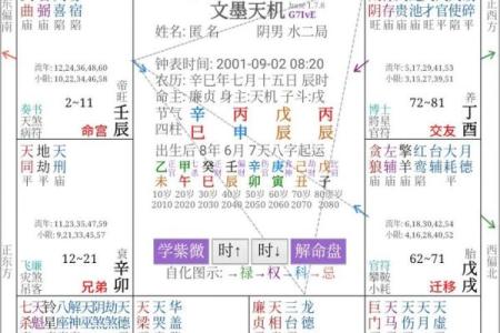 紫微斗数官禄宫详解，能否事业有成全看它
