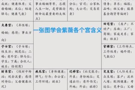 紫薇斗数领导