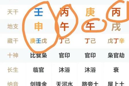 八字身旺财杀两透