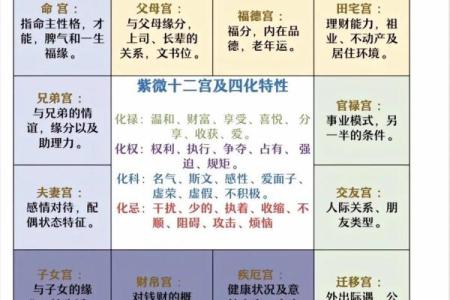 紫薇斗数主看星
