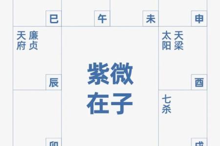紫微斗数科星有哪些,紫微斗数十二星