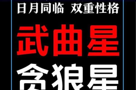 看紫薇斗数贪狼