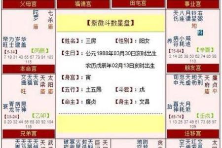 紫薇斗数子女宫在子