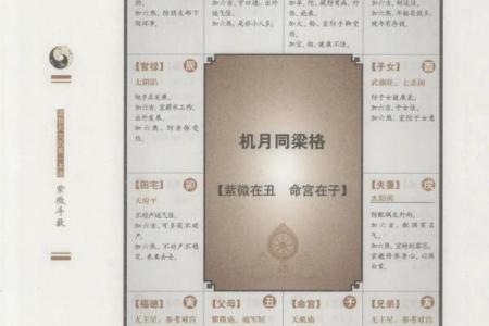 紫微斗数看老公：好男人类型，大男人类型，火爆浪子类型，不负责任类型，桃花多多类型