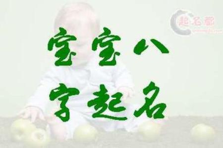 八字免费起名字,起名网生辰八字取名字