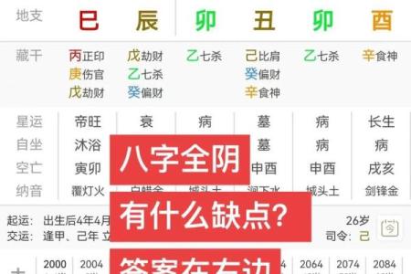 八字全阳的男命 办亊效率高