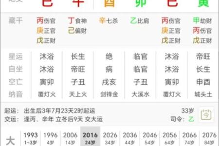 丁酉辛亥丙戍己亥八字命运