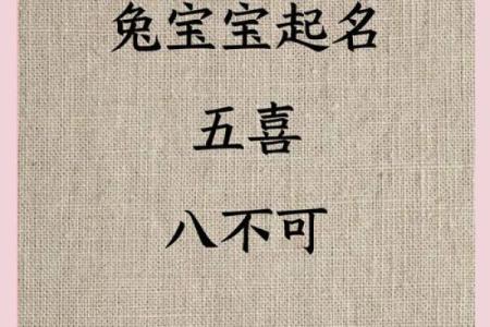 2025兔宝宝起名生辰八字