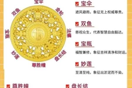 金口诀怎么排盘
