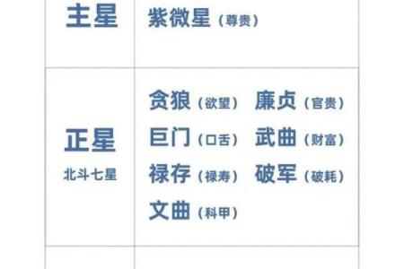 灵动紫薇斗数算命