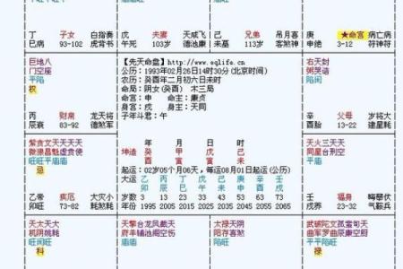 紫微斗数终极 紫微斗数解释？