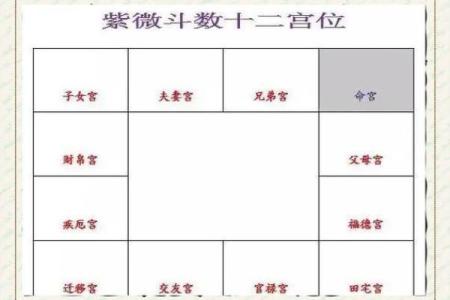 紫微斗数之生年干四化表象：官禄宫四化表象