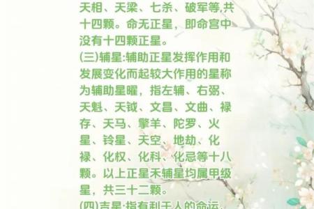 怎么理解紫薇斗数