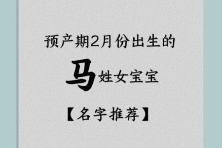 马年宝宝起名测试
