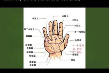手相算命图解指纹的奥秘