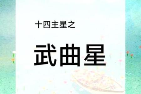 紫薇斗数财帛天相得