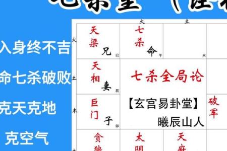 豆瓣紫薇斗数身宫七杀