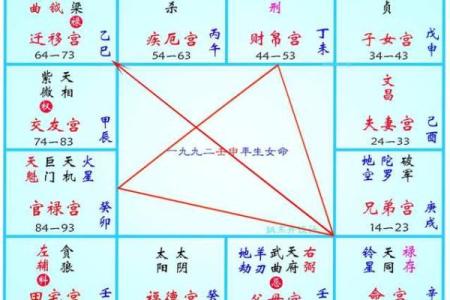 申宫紫薇斗数