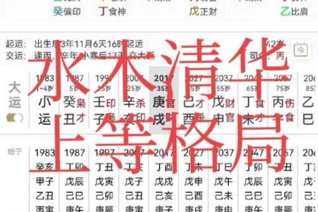 有博士学位的八字分析算命