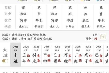 巳时算命,巳时出生的人运势
