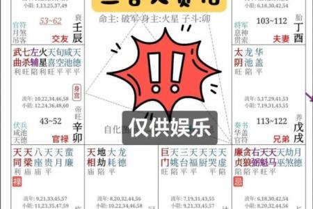 易算紫薇斗数