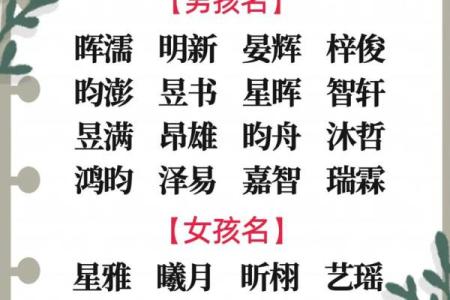 起名字2024生辰八字  2024生辰八字取名字免费起名