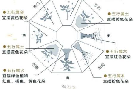家里的风水健康吉位是哪里 你一定意想不到 很多人都会忽略