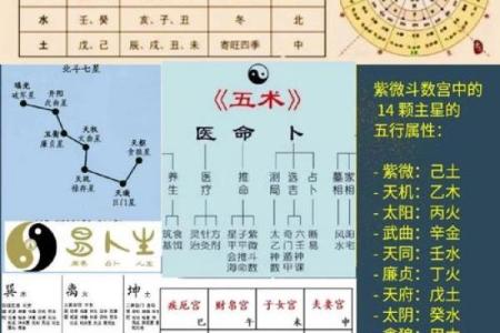 紫薇斗数各个星
