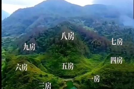 阴宅管一世，关于祖坟风水你了解多少？