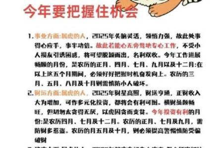 虎年风水一览，万事如意行好运