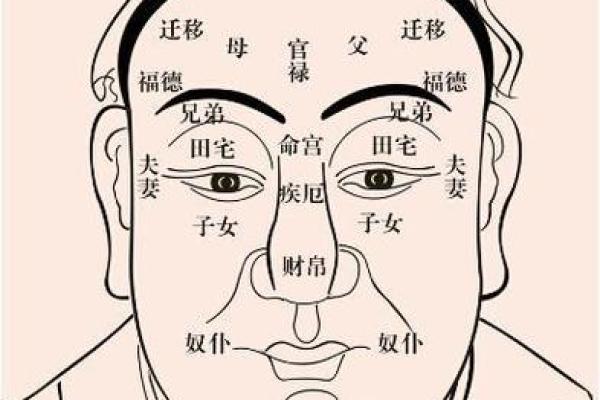 小眼睛的人适合算命吗
