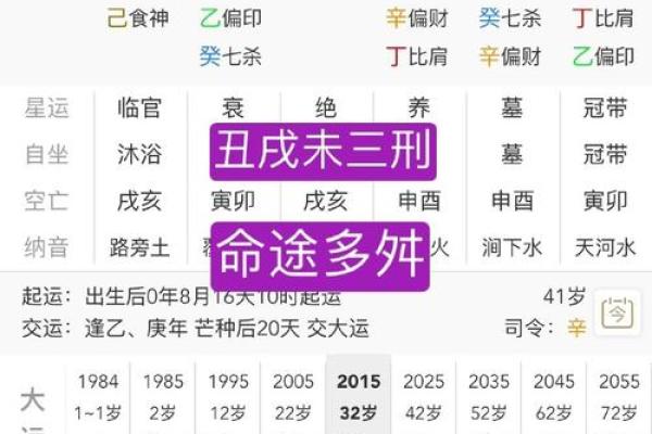 八字甲午辛未