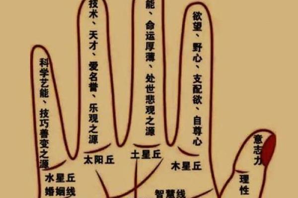 看手相算命大师免费下载