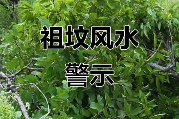 祖坟风水不好怎么化解