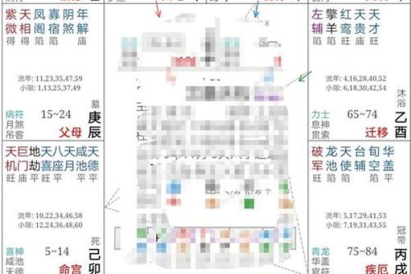 紫薇斗数怎么排名盘