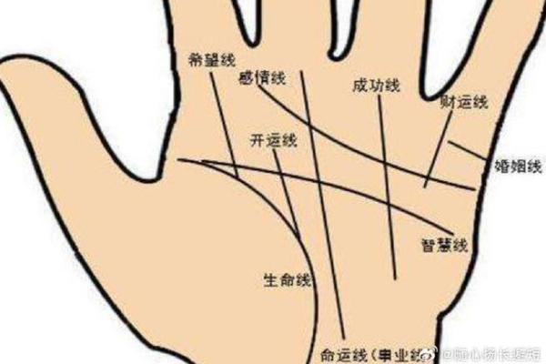 男人生命线图解，男人看手相生命线算命