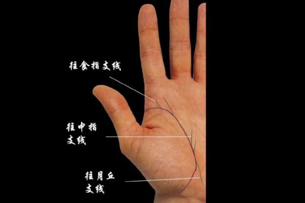 男人生命线图解，男人看手相生命线算命