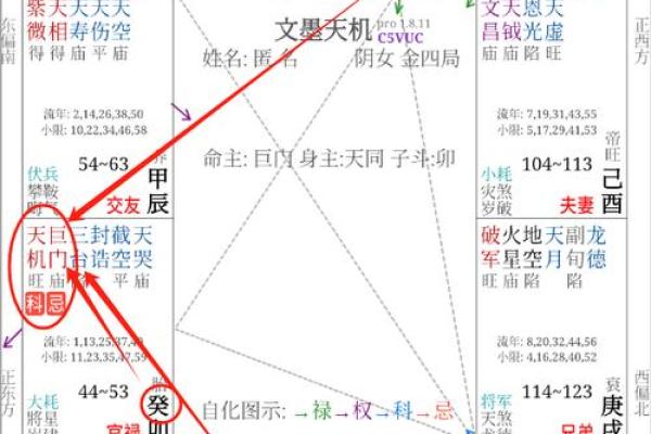 巨门在紫薇斗数中什么意思