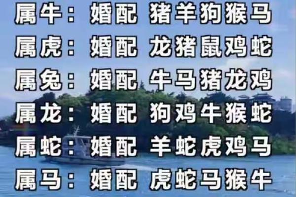 算命生肖婚配蛇配虎，蛇虎配对姻缘？