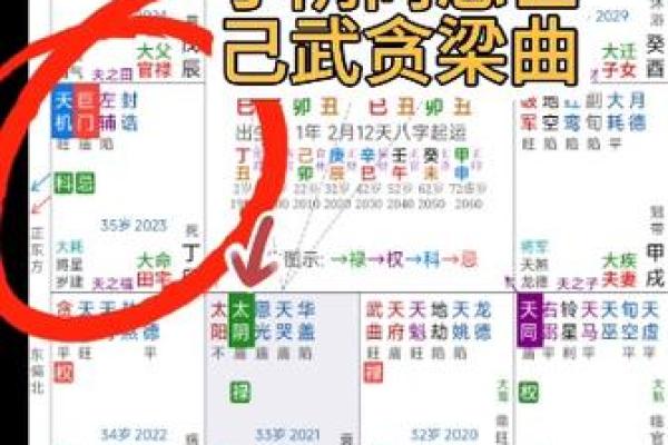 紫薇斗数里忌代表什么