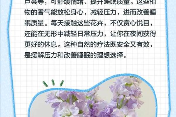 室内房间里养花须知的风水禁忌